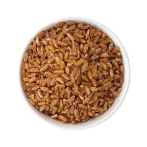 신선약초 V3L6D3K5 호라산밀 800g