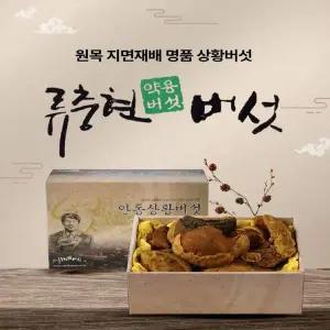 상황버섯 N0F1K1V6 약용버섯 상품 500g