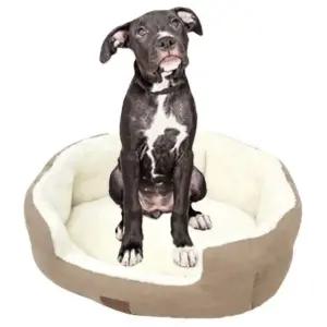 레드퍼피 강아지방석 프렌치 워머 펫쿠션 (베이지) (특대형) 애견방석 펫쿠션