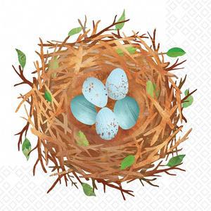 인터내셔널 칵테일 네스트 파티 20개들이 3겹 냅킨 5인치 5인치 일회용 버드 종이