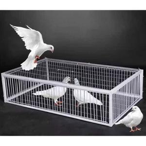 조류 비둘기 퇴치 닭사육장 50m 케이지 길이 이동식 농작물 그물 사육 안전 철제