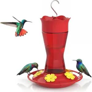 야외용 킹야드 유리 벌새 모이통 개미 해자 및 꿀벌 보호 먹이 포트가 있는 누수 방지 10온스 새 애호가를