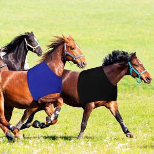 새드니 2개 폴리에스터 편안한 기어 슬리지 방지 가슴 보호대 조끼 위더 블루 턱받이 바디 보호대 블랙 케어 신축성 어깨