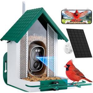 카메라 5K 갖춘 HD를 태양광 볼라이트 스마트 야외용 여성 자동 내후 모션 카메라 엄마 선물 버드 애호가를 남성 AI 감지 위한 피더 발전 캡처 하우스 아빠와 이상적인