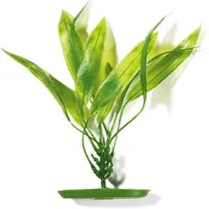 마리나 아쿠아스케이퍼 어항 장식 아마존 소드 플랜트 15인치