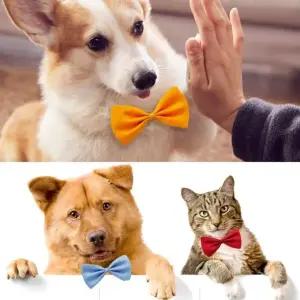 강아지 고양이 나비 넥타이 애견 반려묘 리본 턱시도 생일 파티 촬영 소품