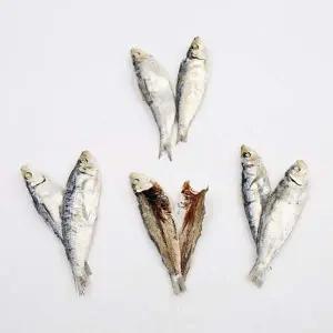 VB E5F2T5F2 식당용 육수내기 A급 5-7 사이즈 1.5kg 1박스