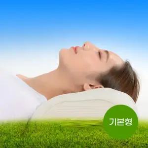 다원 어싱힐링 경추베개