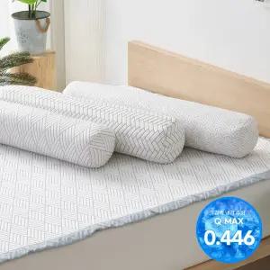 레그노 HR 3중직 냉감 바디필로우(솜포함)