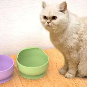 미끄럼 방지 및 유출 위한 바닥 흡입 컵이 있는 실리콘 애완동물 그릇 새끼 고양이 소형견을 청소가 쉬운