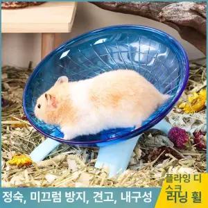 햄스터 운동바퀴 다람쥐 조용한 마우스