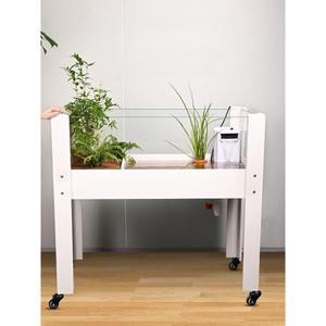 대형거북이어항 수생육지 분리형 투명 리움 60CM 밸브 토지 배수구 유리 수조 탱크 이동식 생태조경