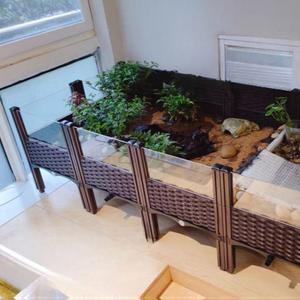 육지거북이 사육장 달팽이 인큐베이터 거북이집 모델 개미집 터틀홈 대형 육지 반수생