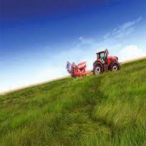 PC/스팀 리얼 팜 (코드발송)