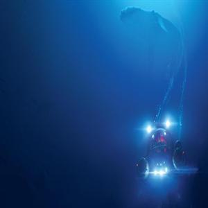 PC/스팀 언더 더 웨이브 (코드발송)