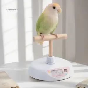 소형 앵무새 조류 체중계 동물병원 전자저울