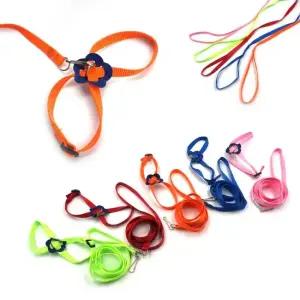 F1 앵무새 비행훈련 가슴 리드줄 산책줄 앵무새가슴줄 파충류가슴줄 앵무새날개줄