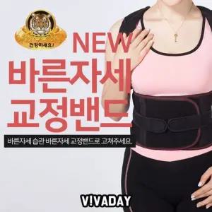 생활잡화 생활용품 바른자세 뉴 고정밴드 DK-SJ  [mWFDAB55]