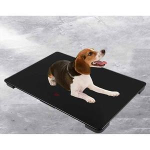 대형견 강아지 체중계 저울 반려견 고양이 유기견 동물병원