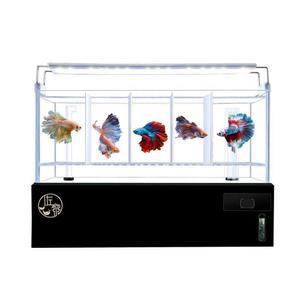 수조 베타어항 가림막 구피 미니 조명 관상어 칸막이 4분할 열대어