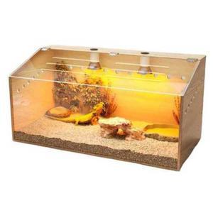 레오파드게코사육장 테라리움 비바리움 사육장 원목 도마뱀