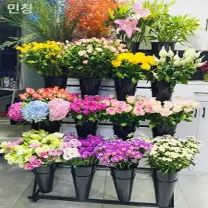 다층 계단형 꽃통 진열대 플라워 랙 꽃집 장식 선반