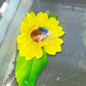 어와둥둥 해바라기 베타침대 은신처