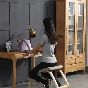 무릎 바른자세 척추 1인 보호 허리 체어 디스크