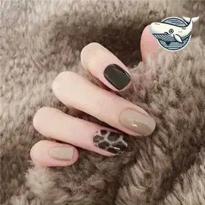 [콩심팥심]트렌디 패턴 네일팁 셀프 네일아트 스타일링