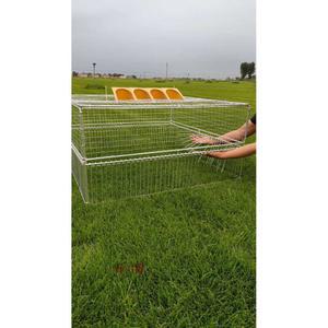 새퇴치 실외 조류 이동장 조류케 (100x100x50cm) 1도어암호 비둘기 대형