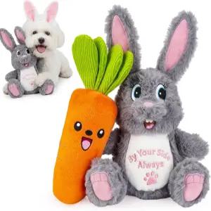 작은 강아지를 위한 블루팝 장난감 귀여운 토끼와 당근 플러시 삐걱거리는 세트 실내 놀이를 부드러운
