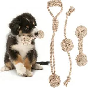 작은 강아지를 위한 패트포인트 로프 장난감 3pcs 내추럴 츄 중형 및 소형견 줄다리기 청소 치아