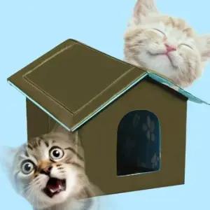 [JED] 애견 고영희 밥집 카페 느낌상점 실외 길냥이급식소