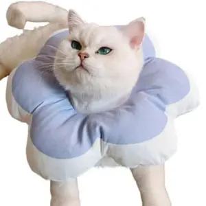 [JED] 쿠션 고양이 수술 보호 방수 강아지 넥카라 1P 블루 L