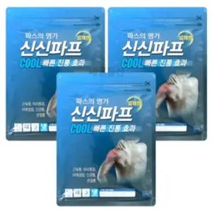 신신제약 신신파프 쿨 파스 대형 5매입 3개