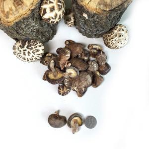 [표고아빠] 국내산 말린 건표고버섯 동고200g,400g 육수용 분말용 각종요리