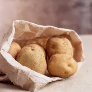 [산지발송]국내산 25년 햇 두백감자 왕특, 5kg (150-250g)