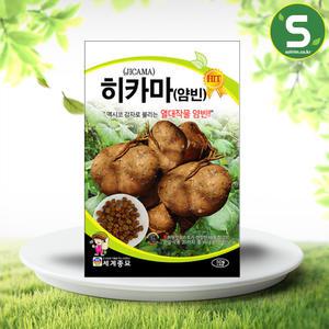 히카마씨앗 50립 히카마 얌빈 멕시코감자 감자씨앗