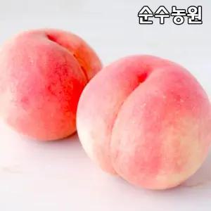 백도복숭아나무 묘목, 경봉 접목1년 뿌리묘 1개/유실수/과실수