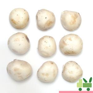 양송이 2kg (비품)