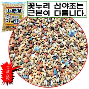 프리미엄 산야초(한국산 최고급)최고급 분갈이흙
