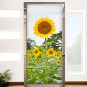 아트박스 꾸밈 am230-곧은해바라기_현관문시트지
