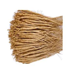 인삼모종(종근 2-3년생 묘삼)750g 약150개 dm003