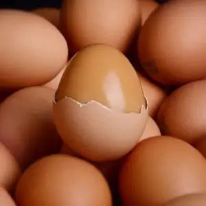 HACCP 인증 국내산 초생란사용 저온방식으로 오래구운 구운계란 90구