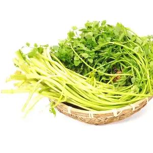 제철미각 신선 미나리 1kg