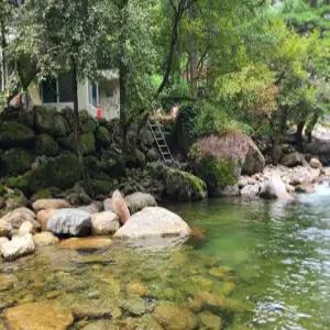 [충북] 단양 비가목펜션(충북, 단양)