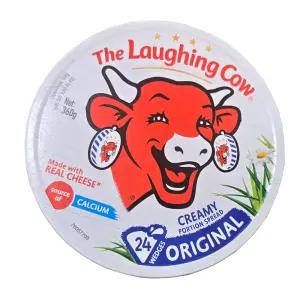 코스트코 냉장 래핑카우 플레인 포션 치즈 15g x 24개입 (360g)