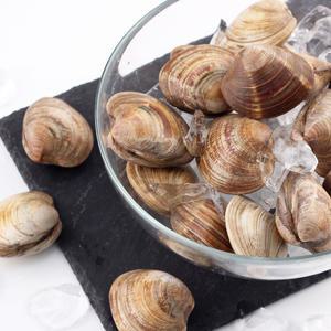 활 백상합 조개 돌백합 1kg