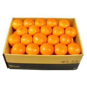 [삼다몰]제주 천혜향 소과 5kg(31~45과 내외)