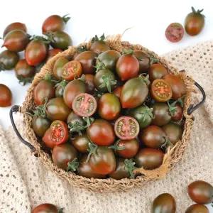 탱글탱글 토마토 흑대추 방울토마토 1kg 2kg 대과 1-2번)